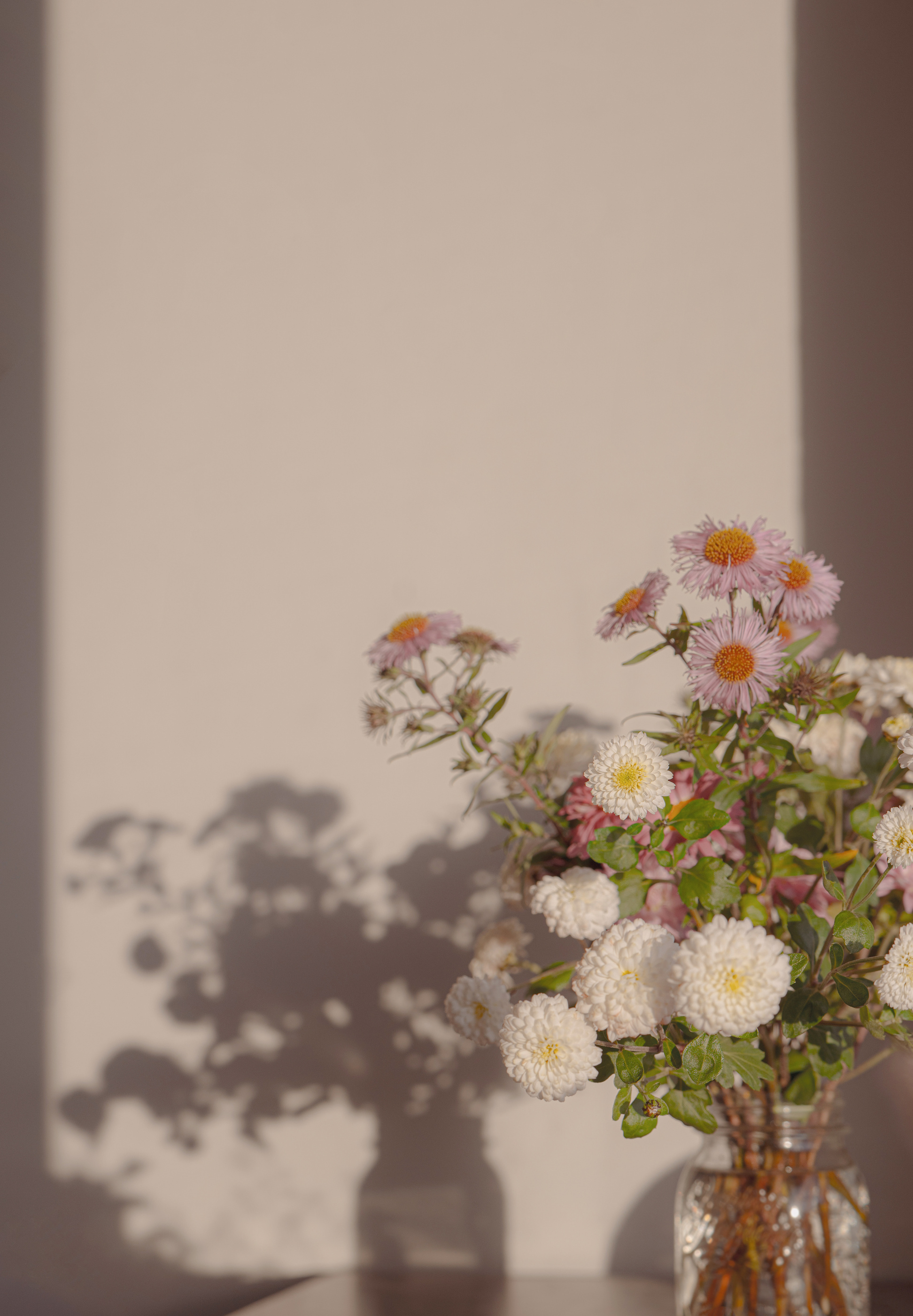 Aesthetic flower background with golden hour shadows, pastel tones